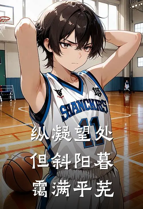 纵凝望处，但斜阳暮霭满平芜