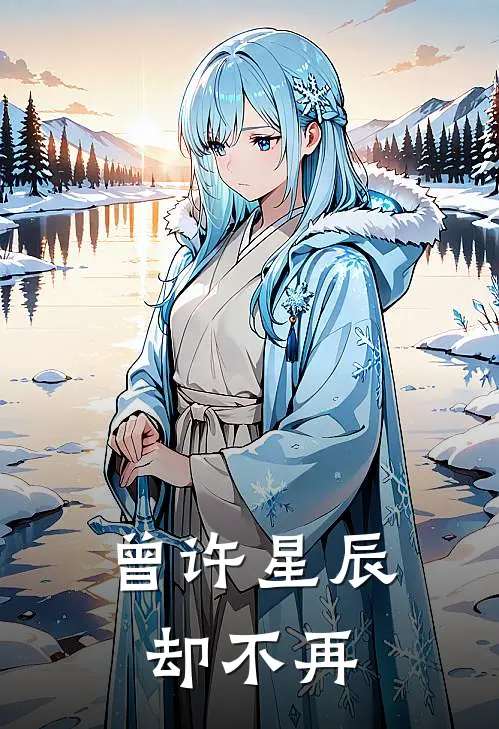 曾许星辰却不再